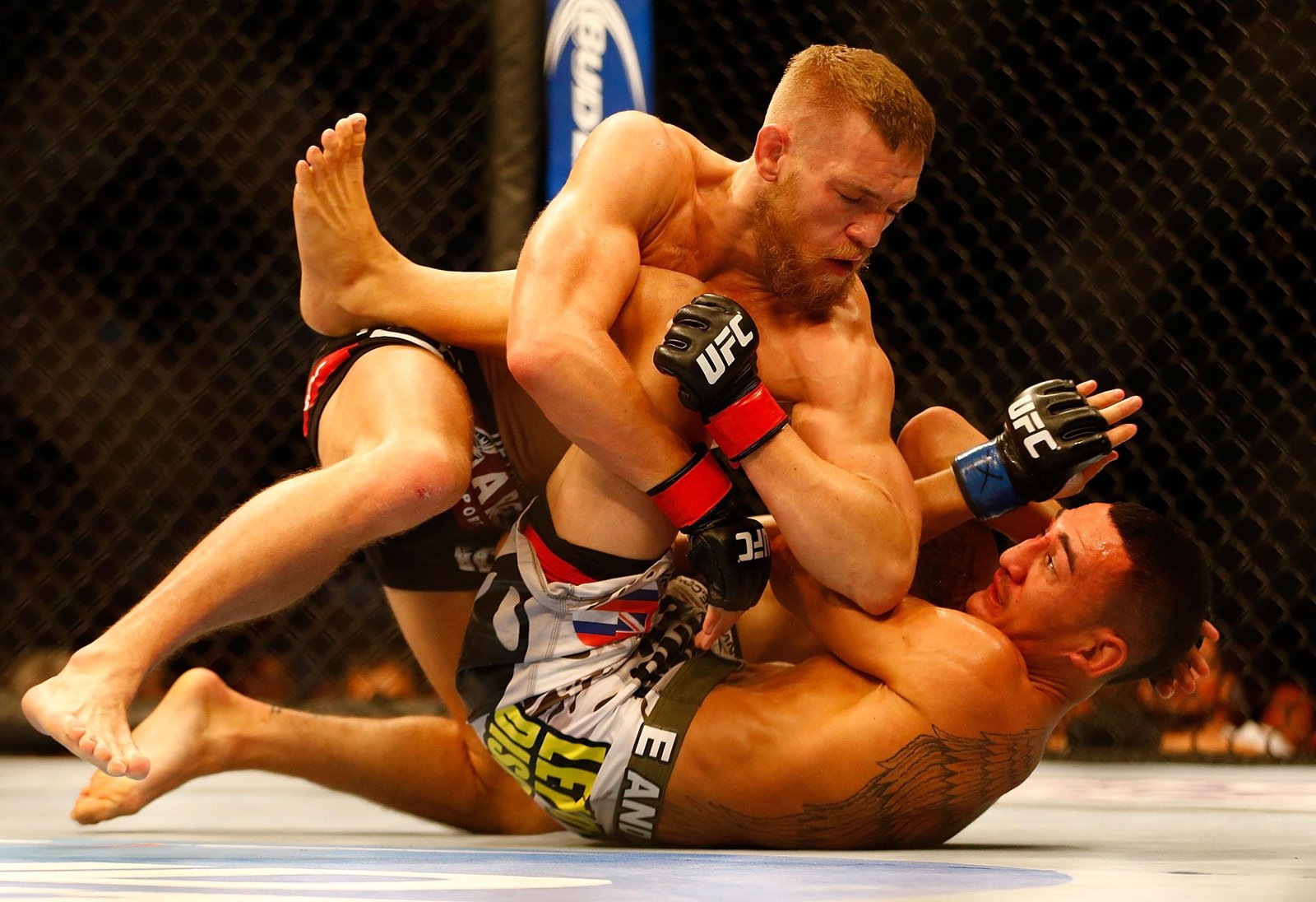 Vídeo completo da luta: Conor McGregor vs. Max Holloway — Academia de Jiu-Jitsu, Brazilian Jiu-Jitsu Academy