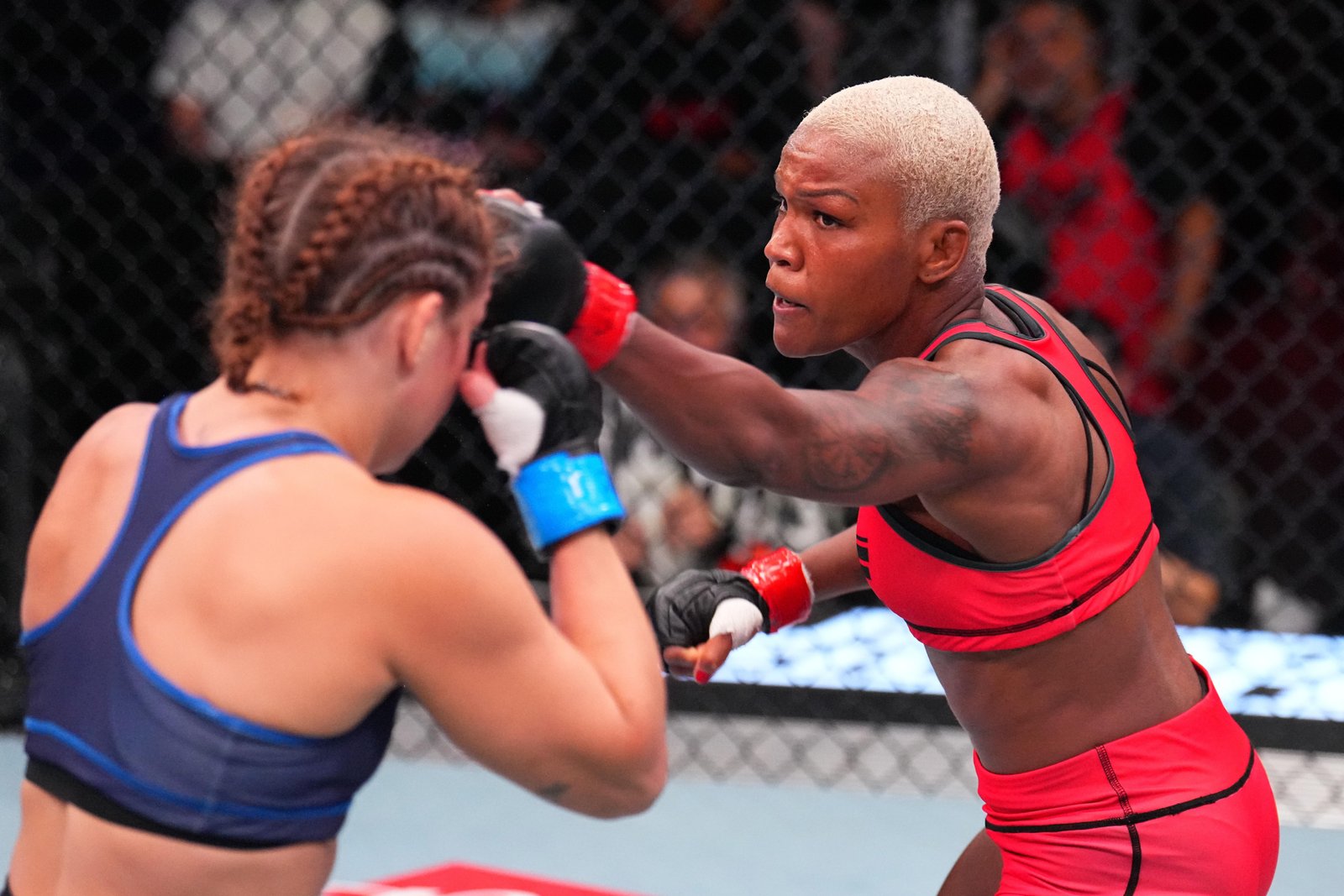 Destaques do TUF 34: Tina Black arrasa a última escolha de Michael Bisping em duelo brasileiro sangrento — Academia de Jiu-Jitsu