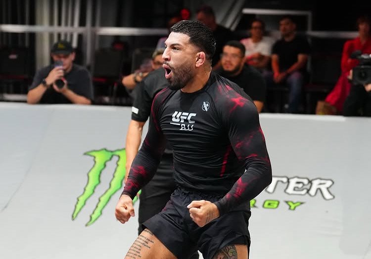 5 grandes conclusões do UFC BJJ 3 — Academia de Jiu-Jitsu, Brazilian Jiu-Jitsu Academy